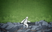 Highslide JS